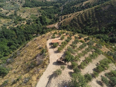 Foto Rustico in contrada San Donato, Montecorice Centro di 251 m²