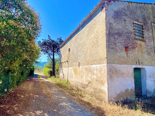 immagine annuncio 1 di 8