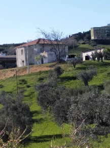 Foto Rustico in Via Panoramica, Tortoreto Centro di 380 m² con 6 locali