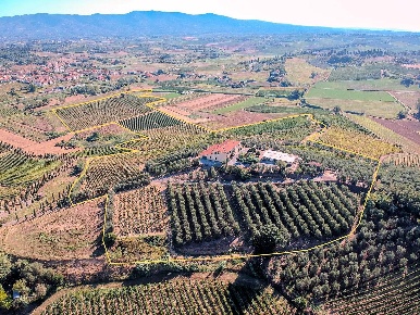 Foto Rustico in Cerreto Guidi, Cerreto Guidi Centro di 1040 m² in vendita