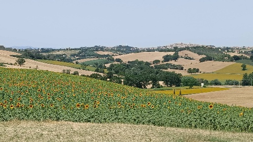 Foto Rustico in Via San Tossano, Monte San Giusto di 453 m² con 5 locali