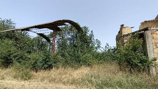 immagine annuncio 3 di 14