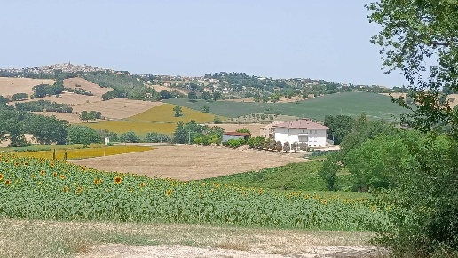 immagine annuncio 9 di 14