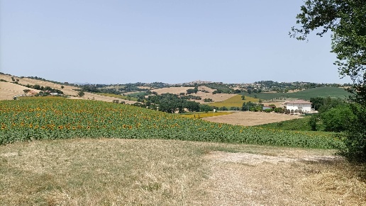 immagine annuncio 10 di 14