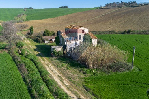 immagine annuncio 6 di 12