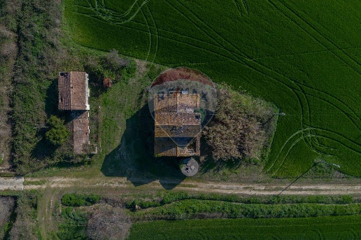immagine annuncio 7 di 12
