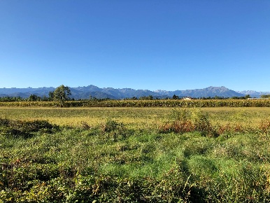 Foto Rustico in STRADA DI RIFREDDO, Mondovì di 130 m² con 3 locali