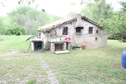 immagine annuncio 11 di 13