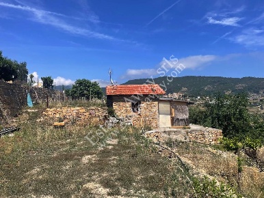 Foto Rustico in Borghetto San Nicolò, Bordighera Borghetto San Nicolò