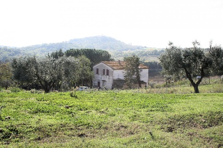 Foto Rustico in apparita, Magliano in Toscana di 1195 m² con 16 locali