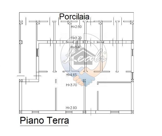 immagine annuncio 10 di 12