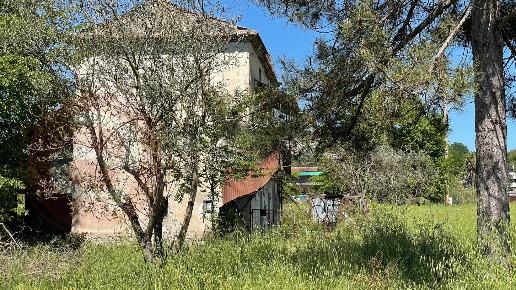 immagine annuncio 4 di 9
