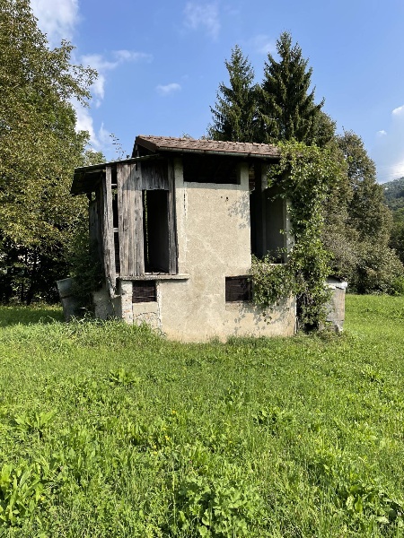 immagine annuncio 1 di 13