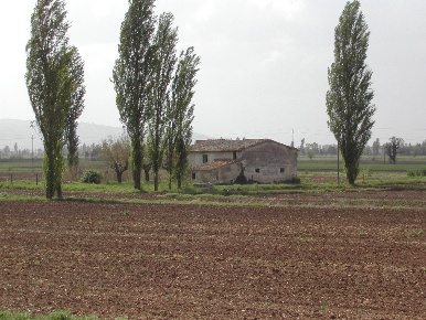 Foto Rustico a Assisi di 380 m² con 10 locali in vendita