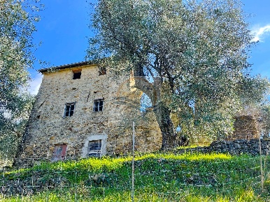Foto Rustico a Bordighera Centro Storico, Sant'Ampelio di 218 m² in vendita