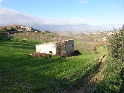 immagine annuncio 1 di 12