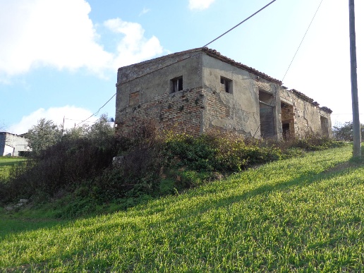 immagine annuncio 3 di 12