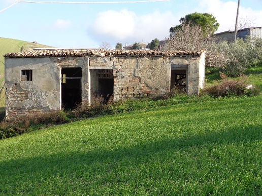immagine annuncio 6 di 12