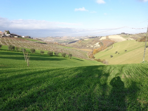 immagine annuncio 8 di 12