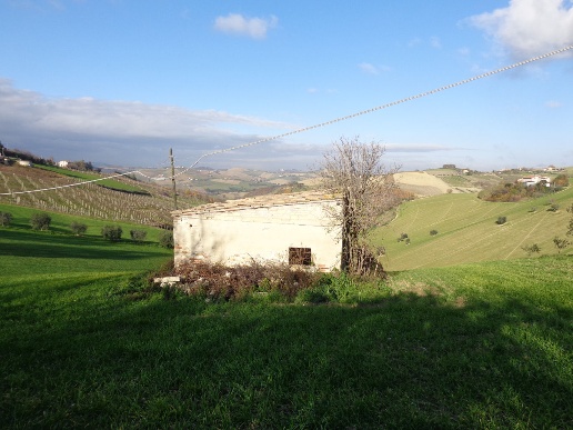 immagine annuncio 10 di 12