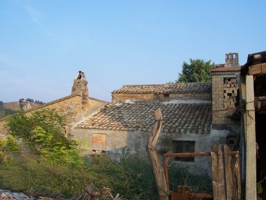 Foto Rustico in c.da forola, Acquaviva Picena di 450 m² con 9 locali