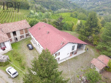 Foto Rustico in frazione palareta, Rocchetta Palafea di 600 m² in vendita