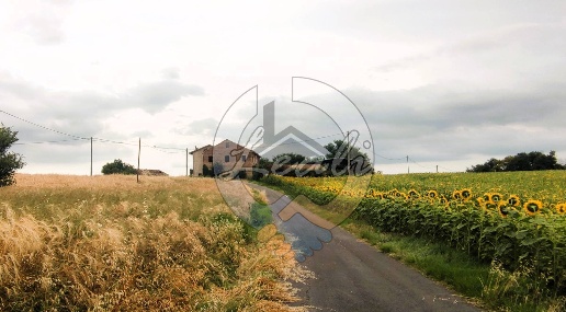 Foto Rustico in C.DA PALOMBARETTE, Pollenza di 950 m² con 30 locali