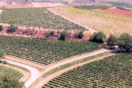 Foto Rustico a Montepulciano di 1200 m² con 10 locali in vendita