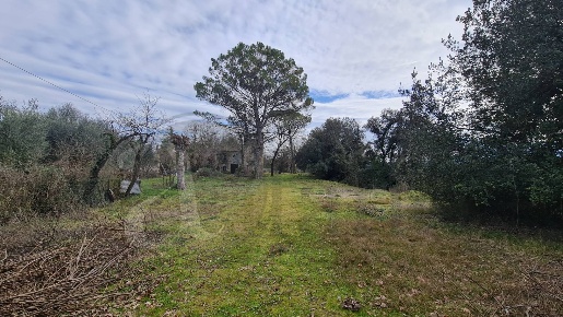 Foto Rustico in Contrada Ravicelle, Aquino di 300 m² con 14 locali