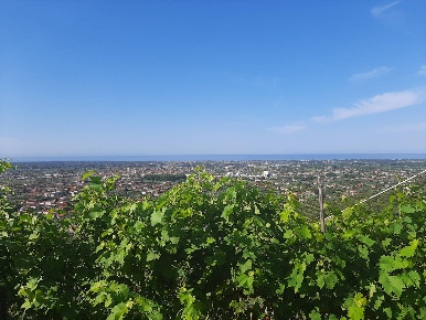 Foto Rustico in via forni, Seravezza Ripa Pozzi Querceta Ponterosso