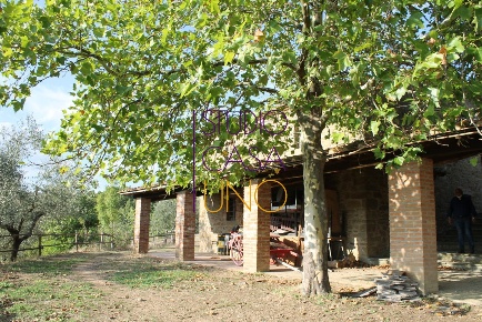 Foto Rustico in VALL 'AMBRA, Bucine di 200 m² con 5 locali in vendita