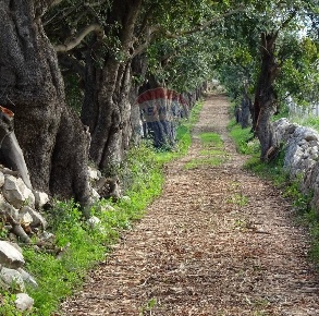 Foto Rustico in contrada eredità, Ragusa Contrade di Marina di Ragusa
