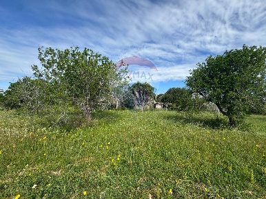 Foto Rustico in C.DA SAN LORENZO TERRENI NUOVI, Noto di 84 m² con 4 locali