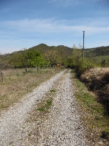 Foto Rustico a Retorbido di 300 m² con 12 locali in vendita