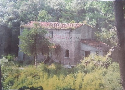Foto Rustico a Forte dei Marmi di 100 m² con 4 locali in vendita