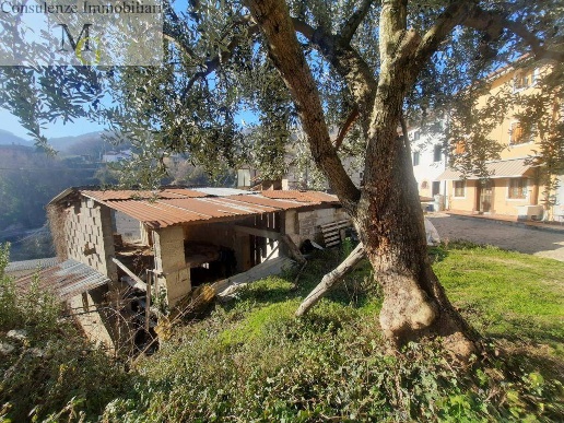 immagine annuncio 4 di 12