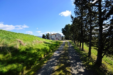 Foto Rustico a Volterra Centro di 440 m² con 10 locali in vendita