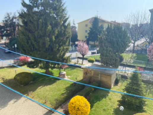 immagine annuncio 9 di 14