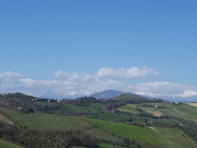 Foto Rustico a Ripatransone di 190 m² in vendita