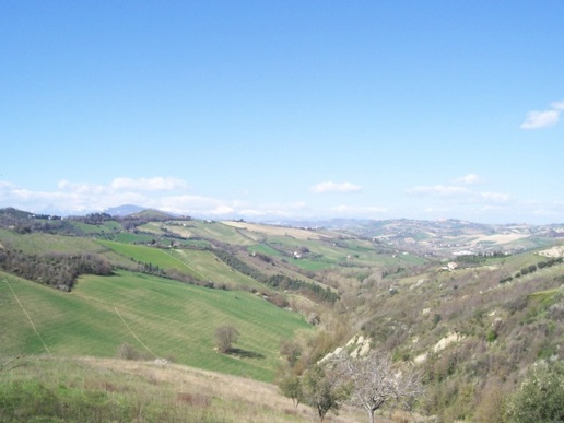 immagine annuncio 3 di 9