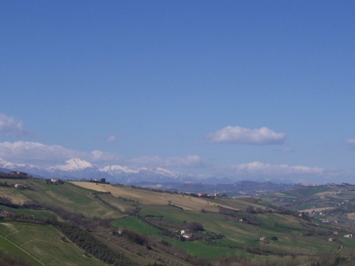 immagine annuncio 5 di 9