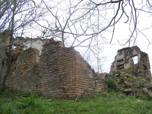 immagine annuncio 6 di 9