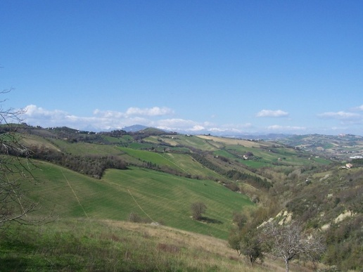 immagine annuncio 7 di 9