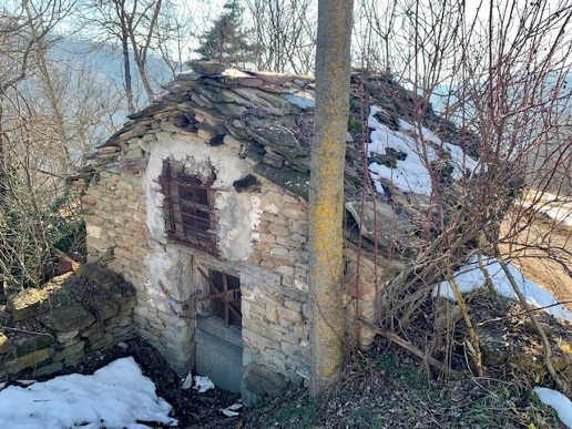 immagine annuncio 3 di 12