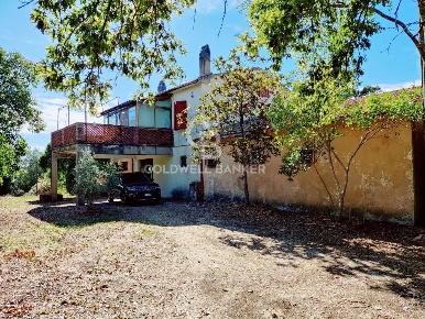 Foto Rustico in Case Sparse Marino, Scansano di 300 m² con 7 locali