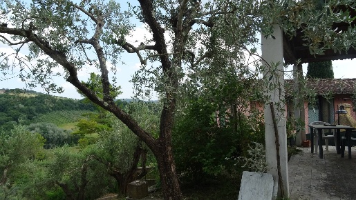 Foto Rustico a Montespertoli di 200 m² con 6 locali in vendita