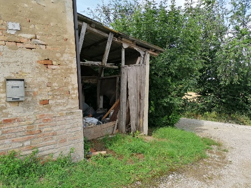 immagine annuncio 3 di 8