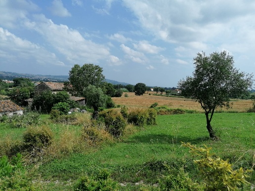 immagine annuncio 6 di 8