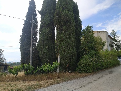 Foto Rustico in contrada s. egidio, Monteprandone di 300 m² con 10 locali