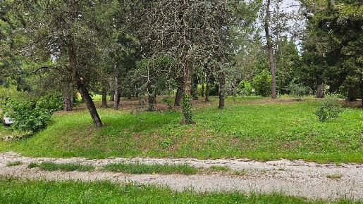 Foto Rustico in Cartoceto, Cartoceto di 350 m² con 8 locali in vendita